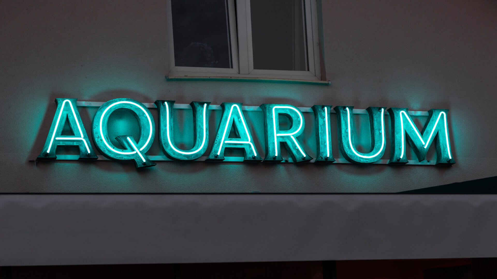 Aquarium Aquarium - Aquarium-Neon an der Gebäudewand-Buchstaben-überdachter-Patina-Neon-über-dem-Eingang-zum-Restaurant-grünes-Neon-an-der-Gebäudewand-Neon-an-einer-Säule-unter-Glas (31) 